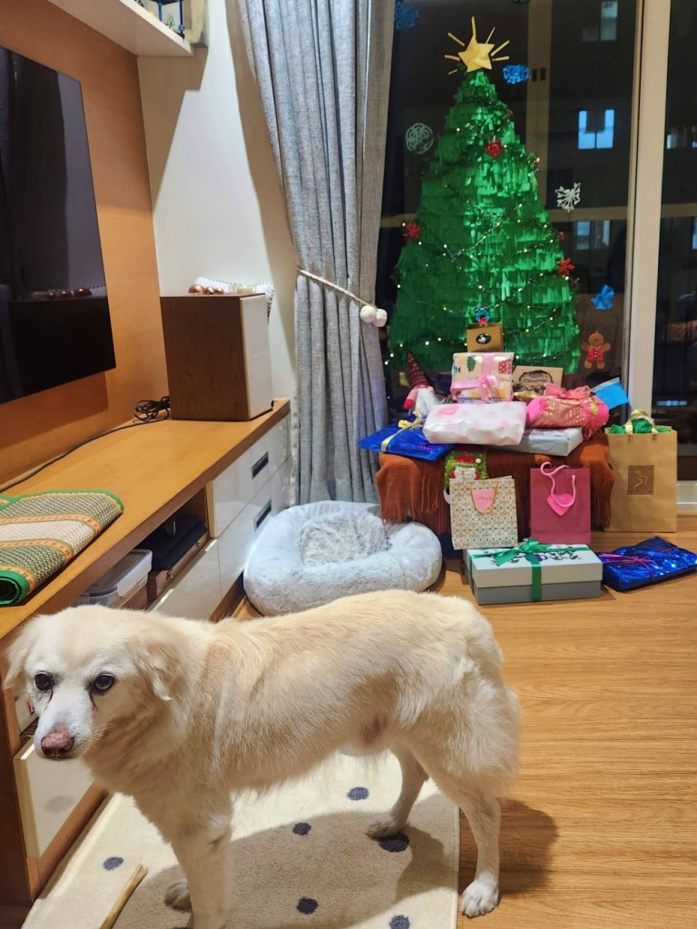 unique christmas tree decor with dog