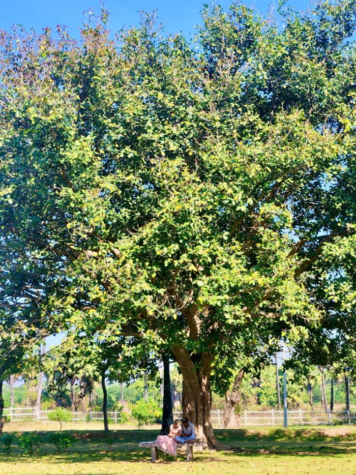 UNESCO site Ramappa Temple garden