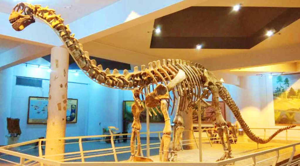 Birla Science Museum Hyderabad dinosaurium Kotasaurus skeleton
