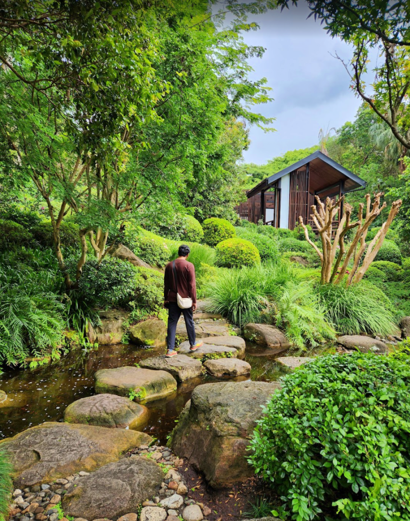 Brisbane botanical garden nature walk