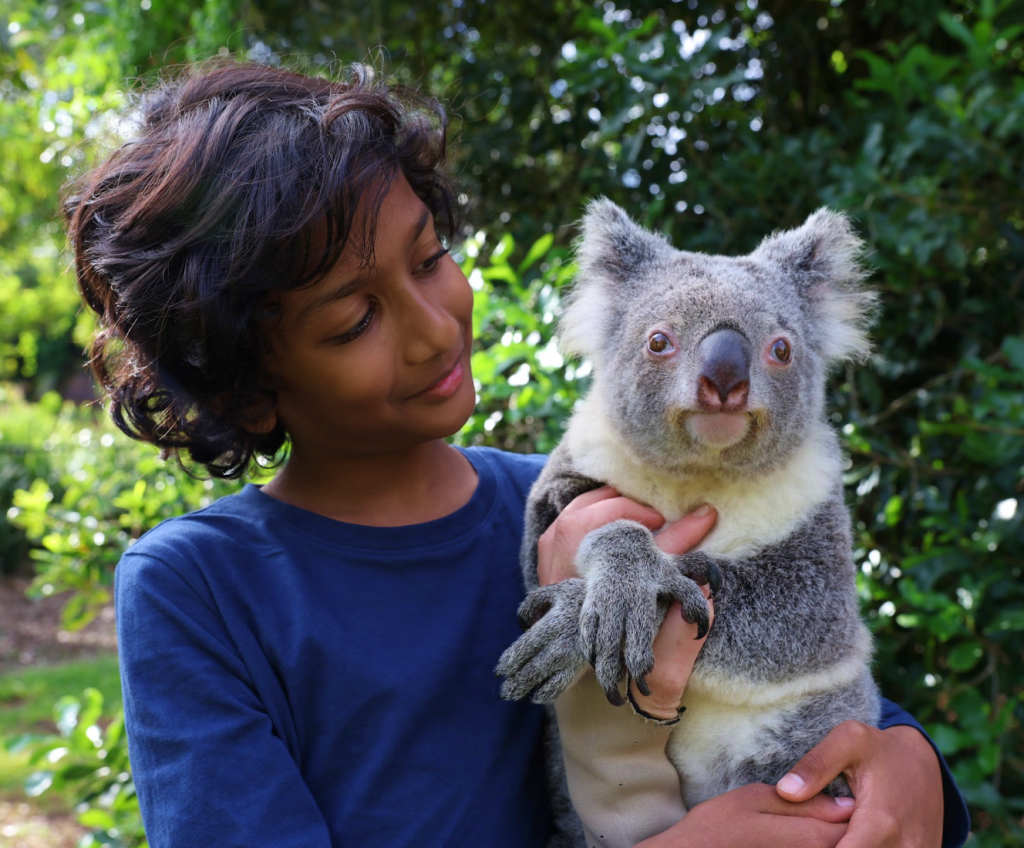 Down Under Diaries: Family Holiday in Queensland&nbsp;Australia