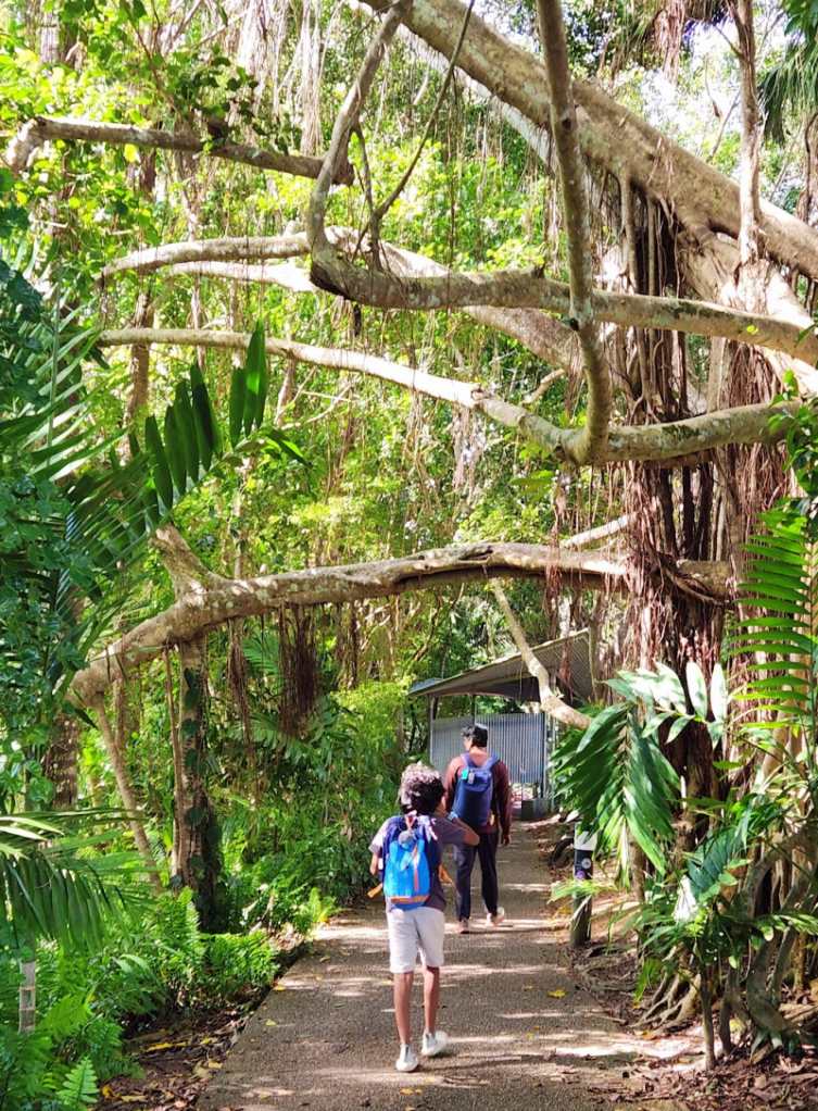 Kuranda nature walk