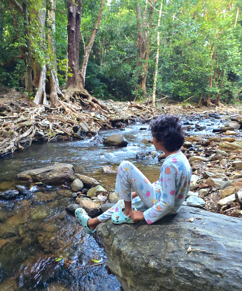 Stoney Creek in Cairns nature walk