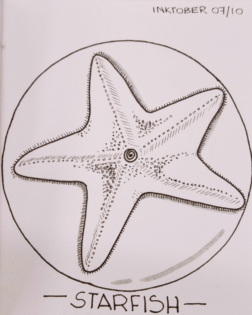 Inktober2025_Starfish