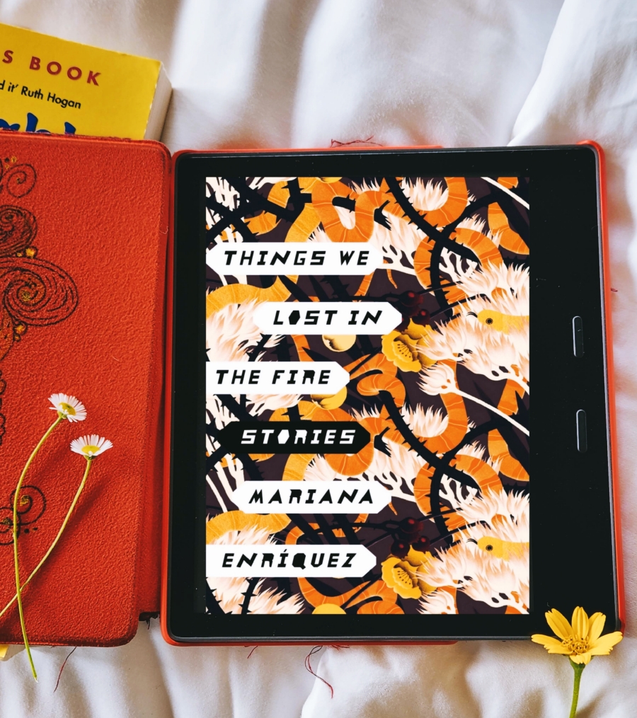 Mariana Enriquez Things we Lost in the Fire book review