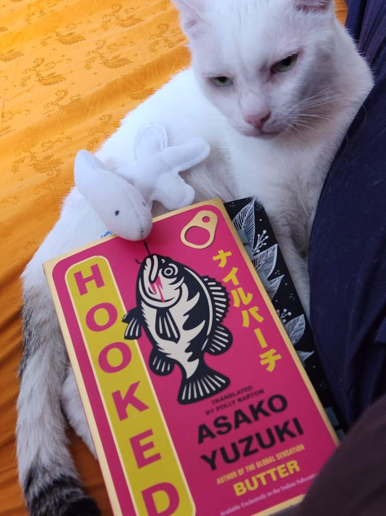 Asako Yuzuki_Hooked book review cat fish