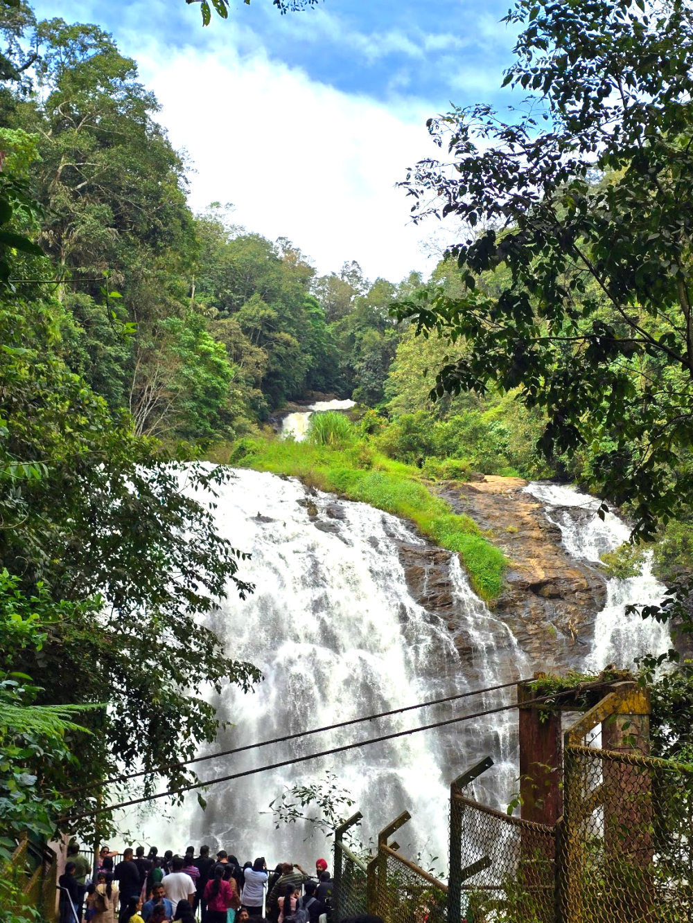 Bangalore to Coorg Road Trip: A Monsoon Getaway&nbsp;Guide