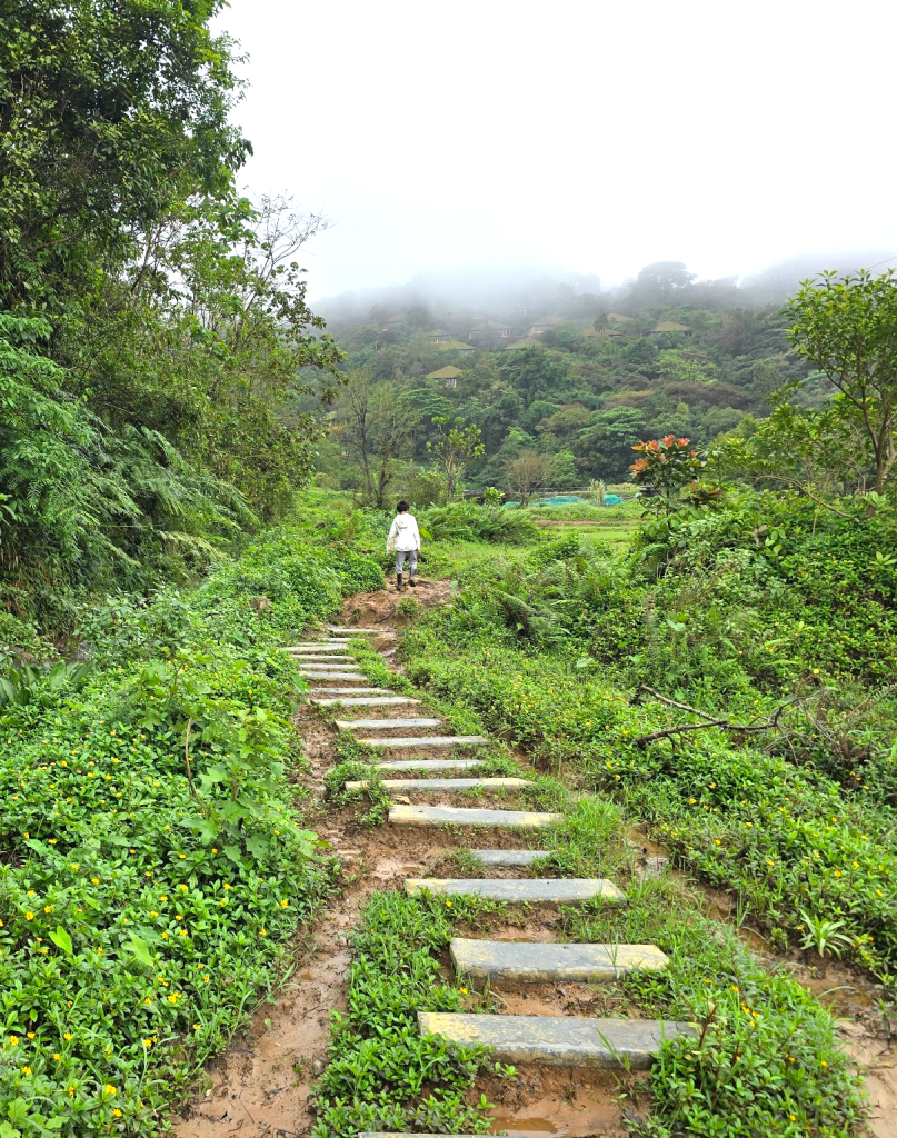 Coorg_Taj Madikeri walk zipline trek